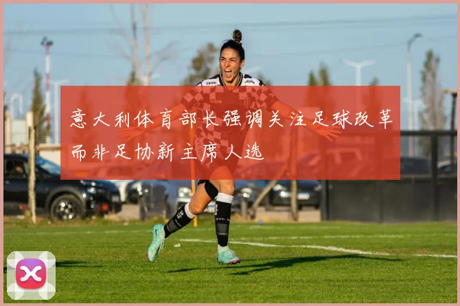 意大利体育部长强调关注足球改革而非足协新主席人选